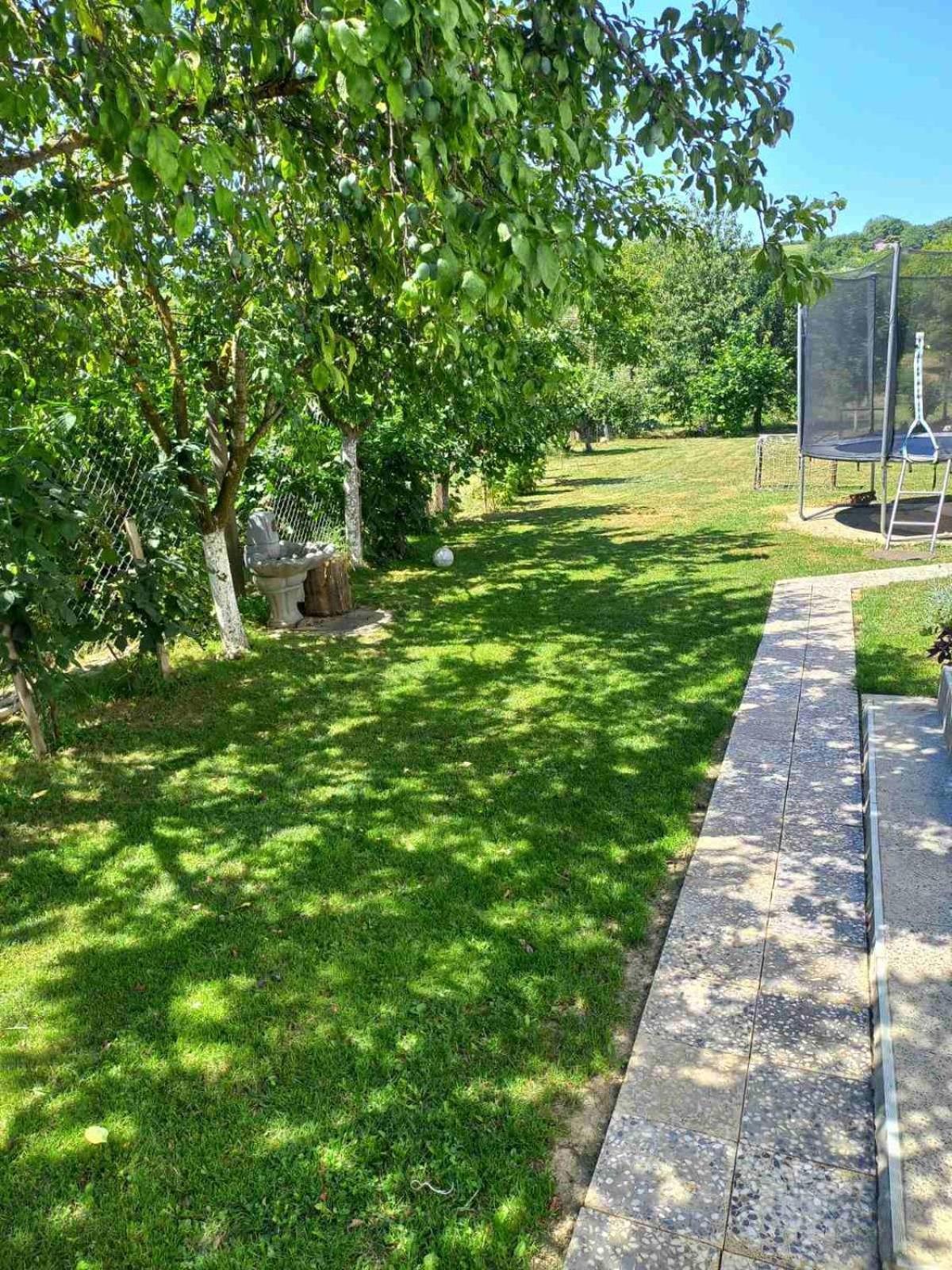 Apartman Flora Vrdnik Exterior foto